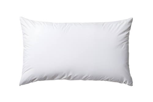 PLUSH Pillow